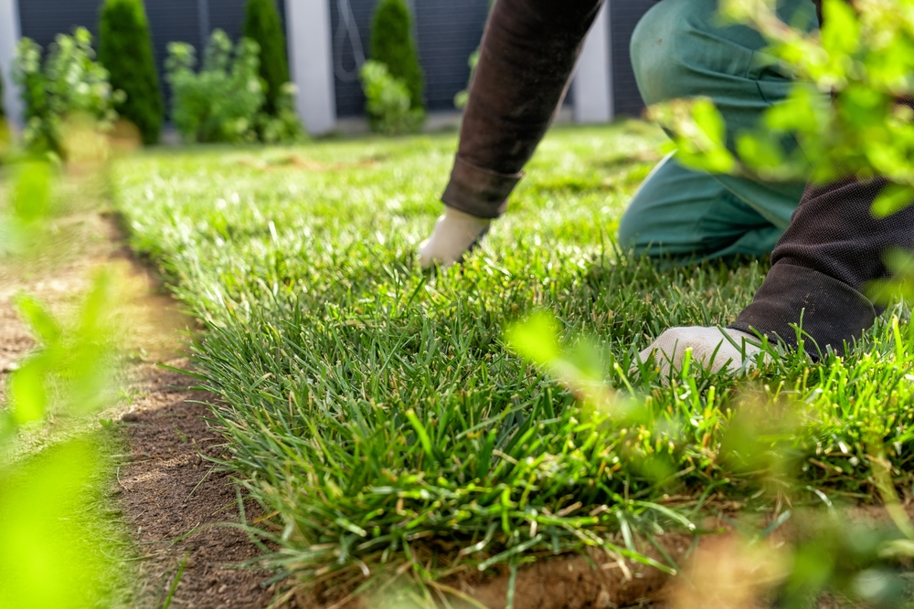 Property services in Leicestershire